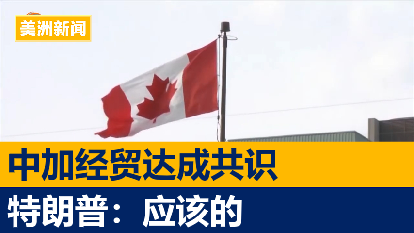 中加经贸达成共识 特朗普:加方该做的事