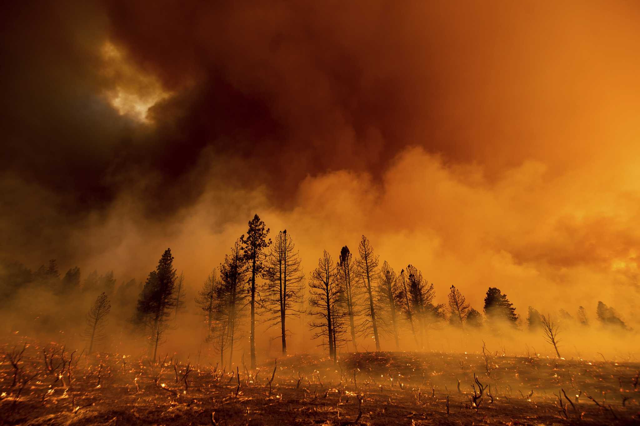 天干物燥，野火四起！华盛顿州、俄勒冈州和加州多处起火；不列颠哥伦比亚省300多起野火正在燃烧