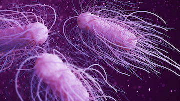 注意！CDC警告：新爆发的沙门氏菌遍及25州，上百人患病