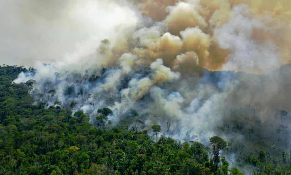 受滥伐火灾等影响 亚马逊热带雨林碳排量超过吸碳量