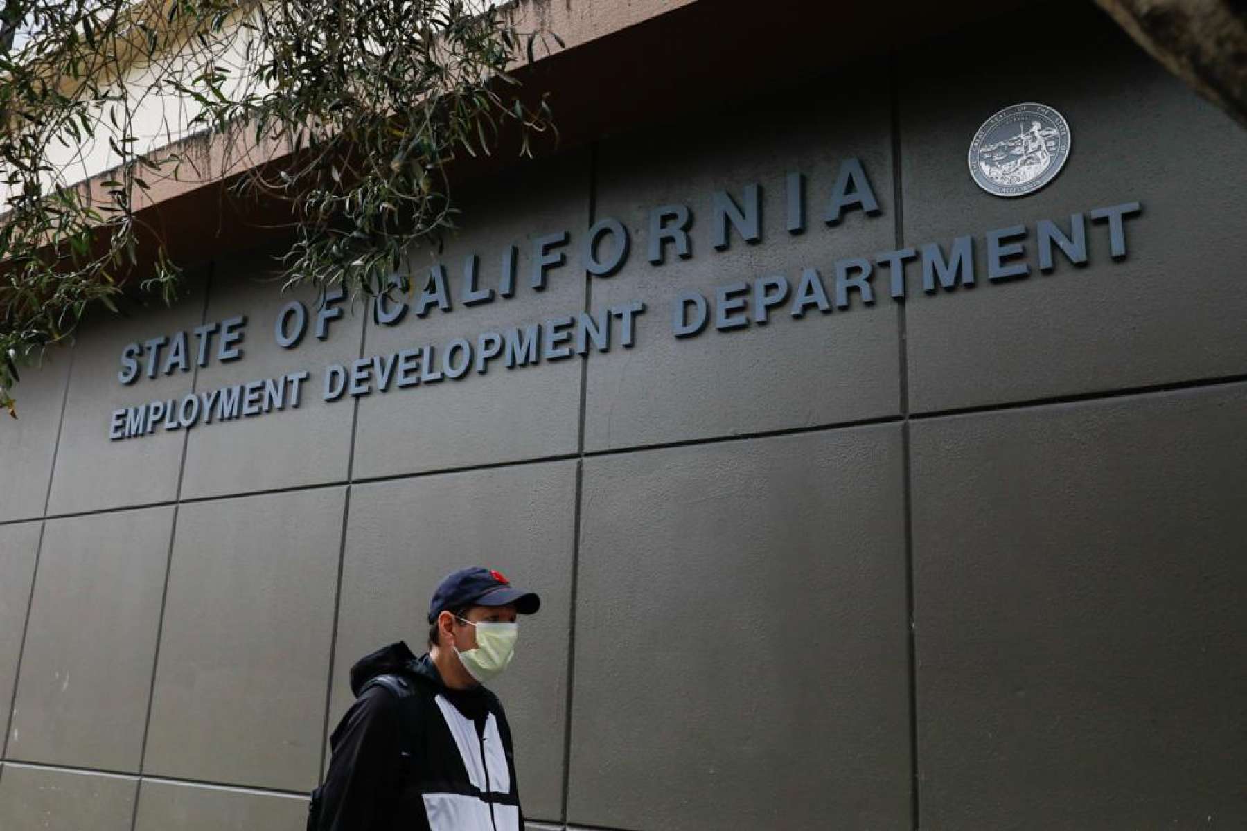 加州EDD再度发现2.7万个身份假冒 紧急叫停34.5万失业金申请