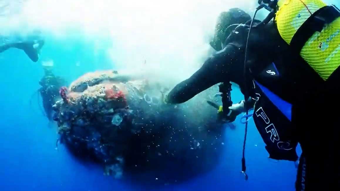 12米鲸鱼被非法渔网困住 潜水员立刻下水营救
