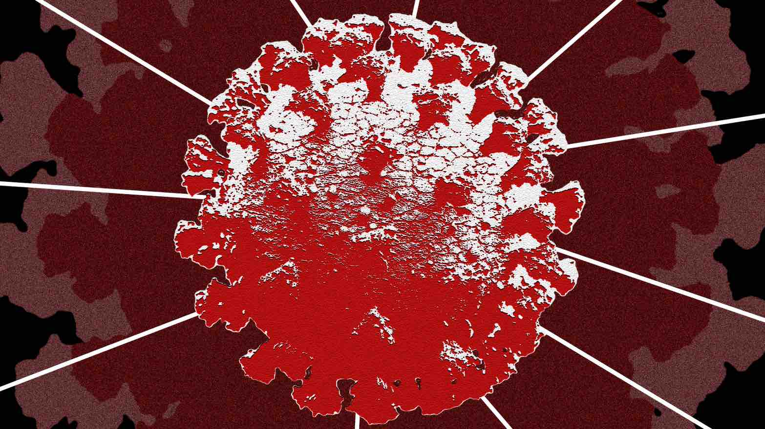 10/18 美国疫情更新：新变体病毒XBB在亚洲国家蔓延；感染新冠后人体器官或衰老3至4年