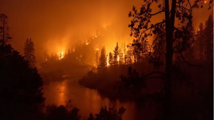 科学家表示：人为气候变化已引发加州更大规模野火