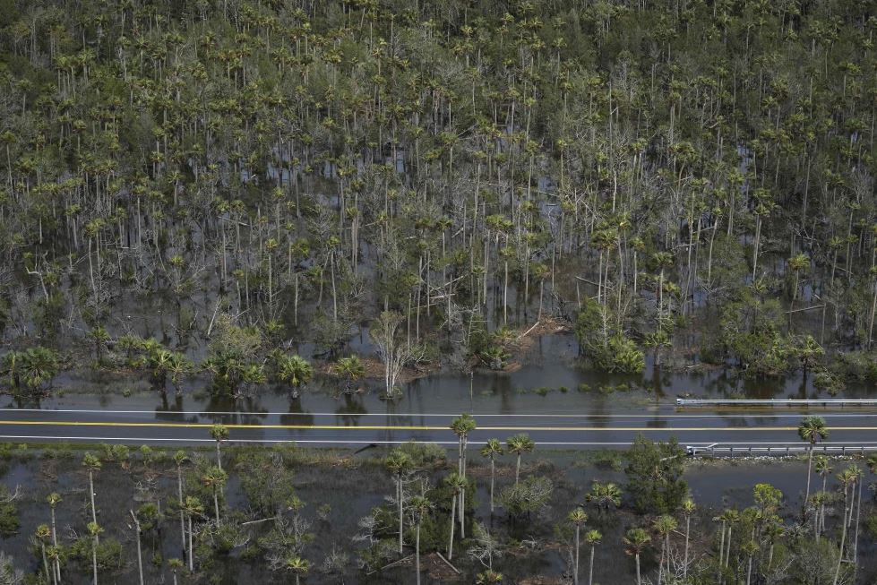 飓风“伊达利亚”给佛罗里达州造成的农业损失估计在7800万美元至3.71亿美元之间