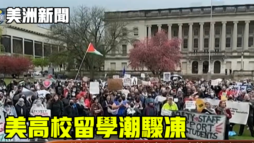 美高校留学潮骤冻