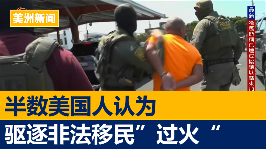 半数美国人认为特朗普逐非法移民“过火了”